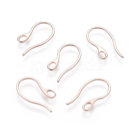 304 Stainless Steel Earring Hooks STAS-O110-19RG-1