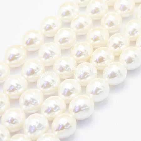 Shell Pearl Beads Strands BSHE-P024-12A-1