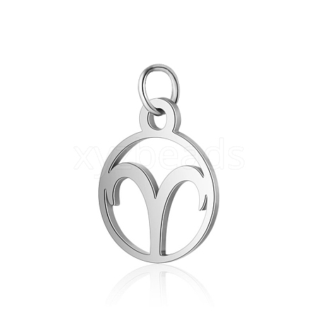 Non-Tarnish 304 Stainless Steel Charms STAS-T036-T513-A1-1