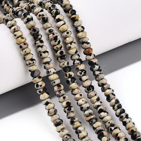 Natural Dalmatian Jasper Beads Strands G-T141-39-1