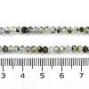 Natural Prehnite Beads Strands G-G139-B05-01-5