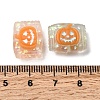 Halloween Frosted Transparent Resin Beads RESI-A048-01A-4