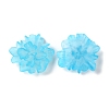 Transparent Resin Cabochons RESI-G027-01D-3