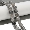 Natural Cloudy Quartz Beads Strands G-E571-A08-03-2