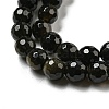 Natural Golden Sheen Obsidian Beads Strands G-E571-A01-01-4