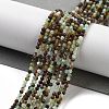 Natural Chrysoprase Beads Strands G-G140-A14-07-2