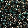 Glass Seed Beads SEED-A032-06J-3