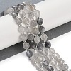 Natural Cloudy Quartz Beads Strands G-O201B-115F-1