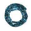 Natural Apatite Beads Strands G-P553-E03-02-3