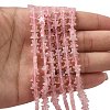 Natural Rose Quartz Beads Strands G-F817-A01-01-2