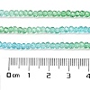 Transparent Painted Glass Beads Strands DGLA-A034-T1mm-A17-3