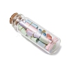 Transparent Glass Wishing Bottle Decoration PALLOY-JF03136-3