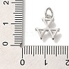 Rack Plating Brass Micro Pave Cubic Zirconia Charms KK-I720-39P-3