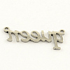 Non-Tarnish Fashionable Stainless Steel Word Charms X-STAS-R059-42-2