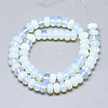 Opalite Beads Strands G-T122-02W-2