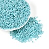 Glass Seed Beads SEED-A011-3mm-154-1