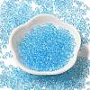 Transparent Colours Glass Seed Beads SEED-P007-02A-10-2