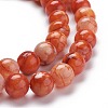 Dyed Natural Crackle Agate Bead Strands X-G-K414-8mm-06-3