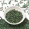 Glass Seed Beads X1-SEED-H002-B-D221-2