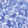 Glass Seed Beads X1-SEED-H002-D-A814-3