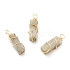 Natural Labradorite Pendants PALLOY-JF01581-01-1