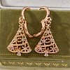 Brass Micro Pave Clear Cubic Zirconia Leverback Earrings EJEW-K300-28G-2