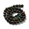 Natural Dragon Blood Beads Strands G-E571-30B-3