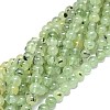 Natural Prehnite Beads Strands G-O201A-06C-1