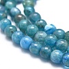 Natural Apatite Beads Strands G-K305-26-C-3