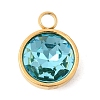 Birthstone Theme December 304 Stainless Steel Pendants STAS-K239-01G-A12-1