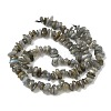 Natural Labradorite Beads Strands X-G-I225-15A-4