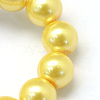 Baking Painted Pearlized Glass Pearl Round Bead Strands X-HY-Q003-10mm-67-3