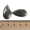 Natural Labradorite Pendants G-C140-05J-3