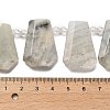 Natural Grey Moonstone Beads Strands G-H078-A07-01-4