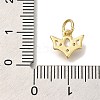 Rack Plating Brass Micro Pave Cubic Zirconia Charms KK-I720-49G-3