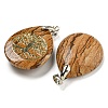 Natural Picture Jasper Teardrop Pendants G-Q175-01E-2