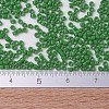 MIYUKI Delica Beads SEED-X0054-DB0724-4