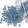 TOHO 6/0 Round Beads X-SEED-TR06-0263-1