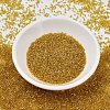 MIYUKI Delica Beads SEED-J020-DB2372-2
