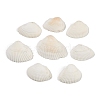 Natural Shell Beads SHEL-K009-16-1