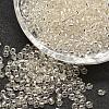 6/0 Transparent Glass Round Seed Beads X-SEED-J010-F6-21-1