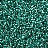 12/0 Grade A Round Glass Seed Beads SEED-Q007-F50-2