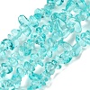 Transparent Glass Beads Strands GLAA-P060-01C-19-1