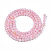 Natural Freshwater Shell Beads Strands X-BSHE-T009A-01C-2
