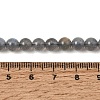 Natural Labradorite Beads Strands GG-CBA28C5-A01-6mm-4