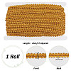   25M Polyester Braided Lace Trim OCOR-PH0003-86B-02-3