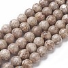 Natural Fossil Coral Beads Strands G-F563-02-10mm-1