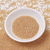 MIYUKI Delica Beads SEED-JP0008-DB0852-2
