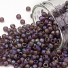 TOHO Round Seed Beads SEED-XTR08-0166BF-1