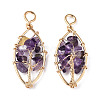 Natural Amethyst Pendants G-T131-98B-09-2